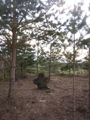 Arula-Palu tee 04.05.2011 (20)