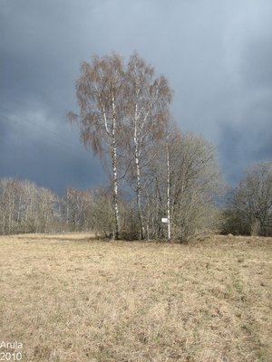 Kevad 2010 Arulas 011