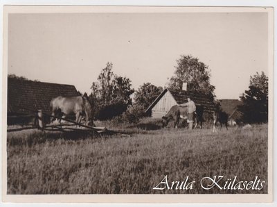 438. Äidu karjamõis