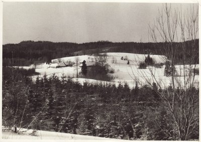 72. Vaade Madsa veskile 1985