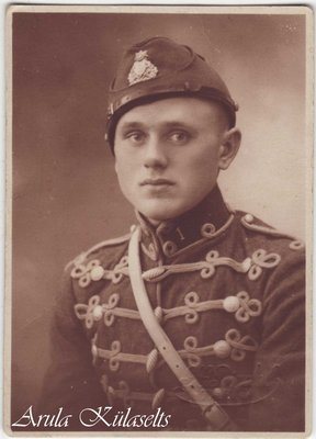 Voldemar Tiks