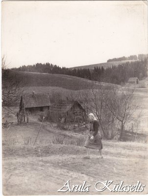 253. Emilia Mekk ja Paklamäe hooned