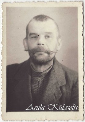 418. Vladimir Mekk Paklamäelt