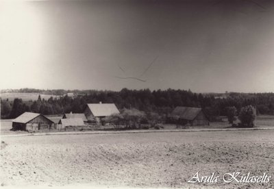 687. Rebaste talu