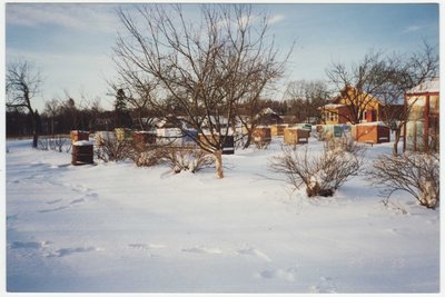 693. Rebaste talu mesila