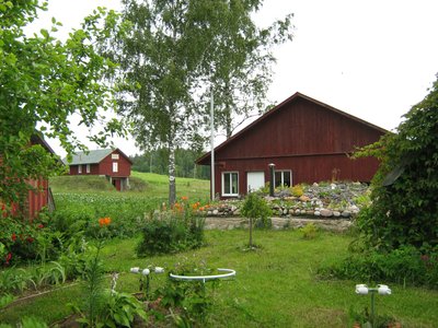 695. Rebaste talu 2011