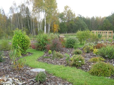 696. Rebaste talu puukool