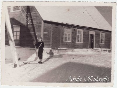 871. Arula meierei
