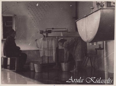 873. Arula meierei sisevaade
